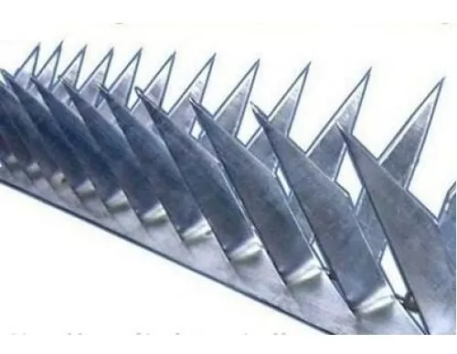 D_NQ_NP_2X_643441-MLB31048843171_062019-F