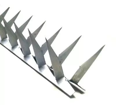 D_NQ_NP_2X_963674-MLB31068141474_062019-F